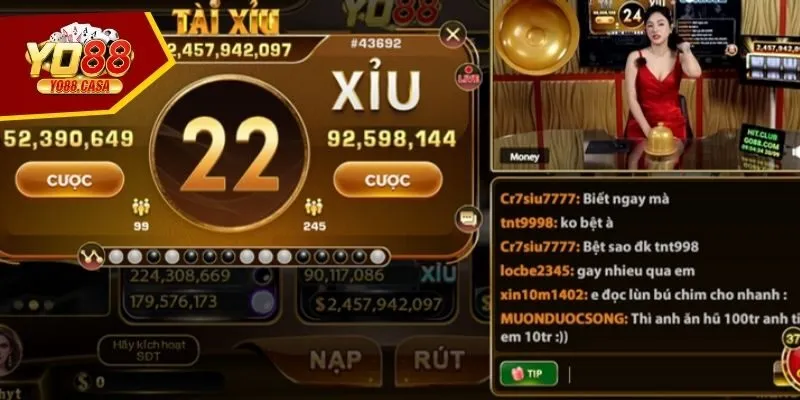 Đánh lót cửa hòa